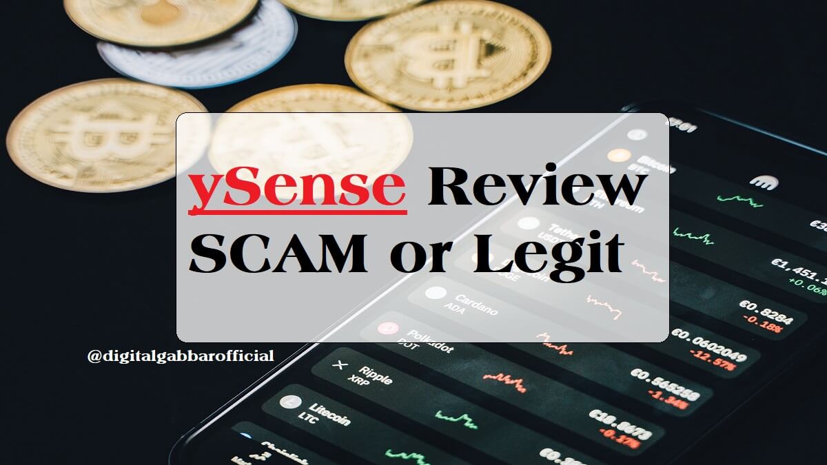 ySense Review