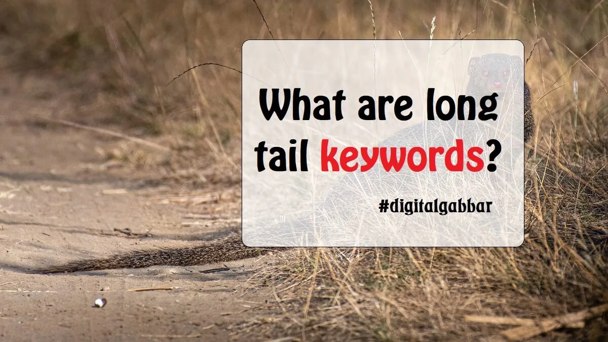 Long Tail Keywords का उपयोग कैसे करें