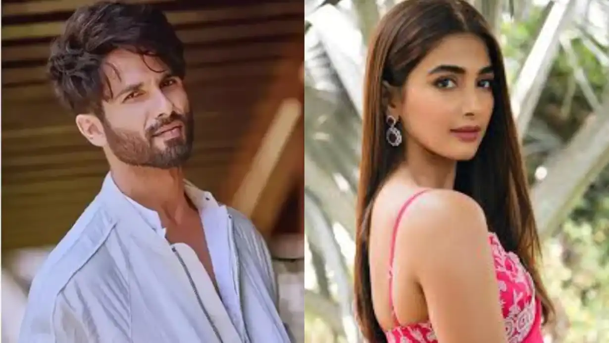 Shahid Kapoor And Pooja Hegde Are Coming To Create A Stir In Dubai