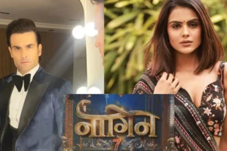 Vivian Dsena And Priyanka Chahar Choudhary May Be Paired In Naagin 7