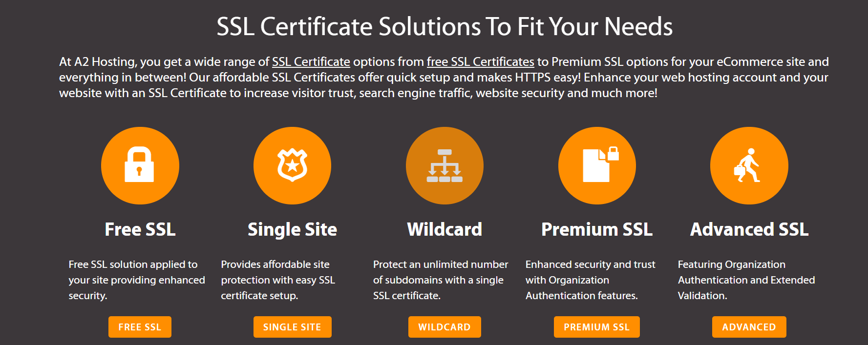 A2hosting Review - Highest Rated Hosting 6 a2hosting review