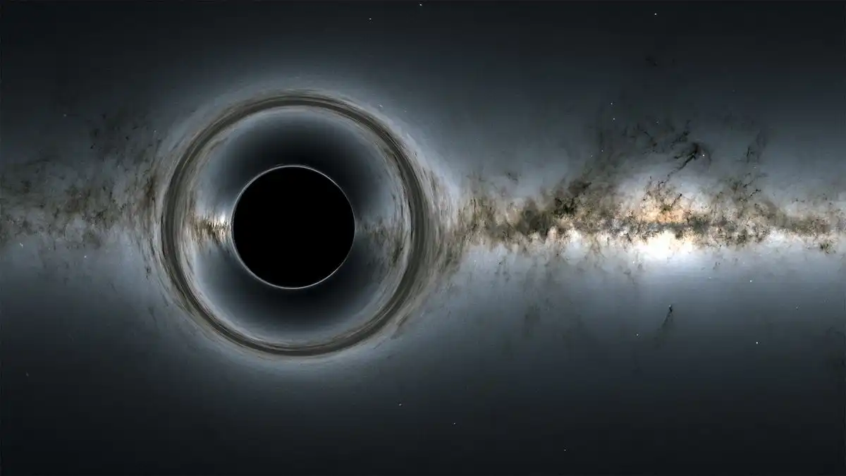 Black Holes