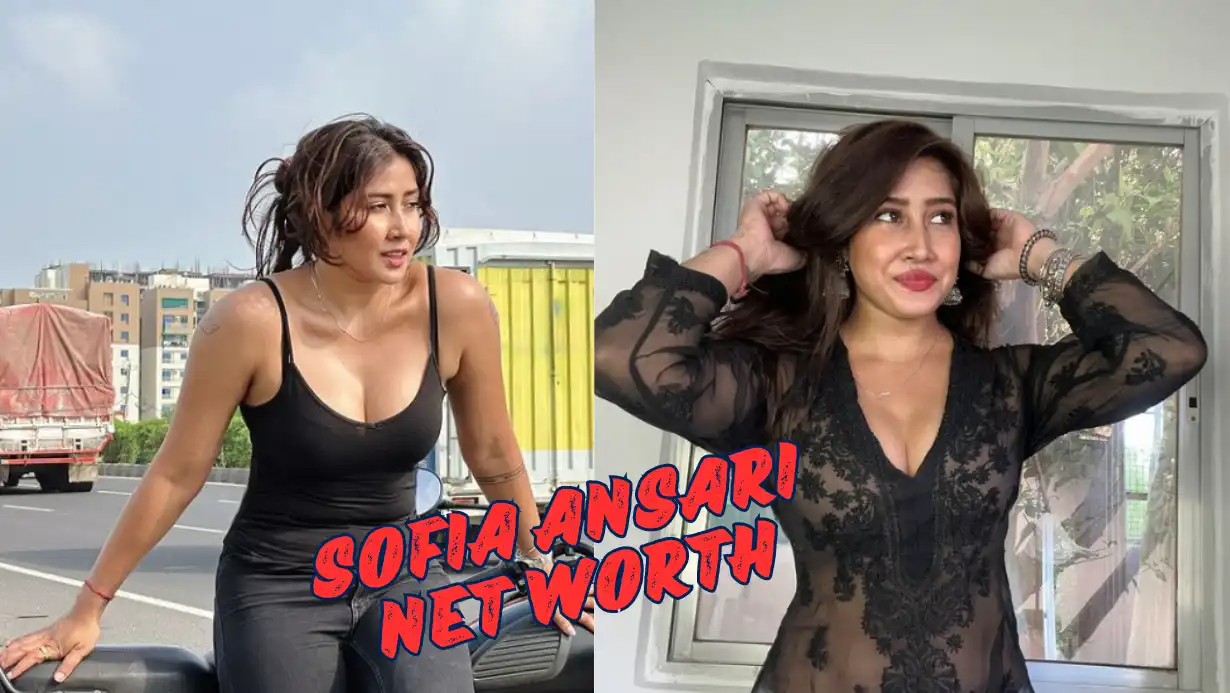 Sofia Ansari Net Worth