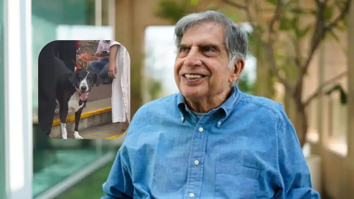 Ratan Tata’s Loyal Dog Refuses Food After His Demise, Heartbreaking Video Surfaces