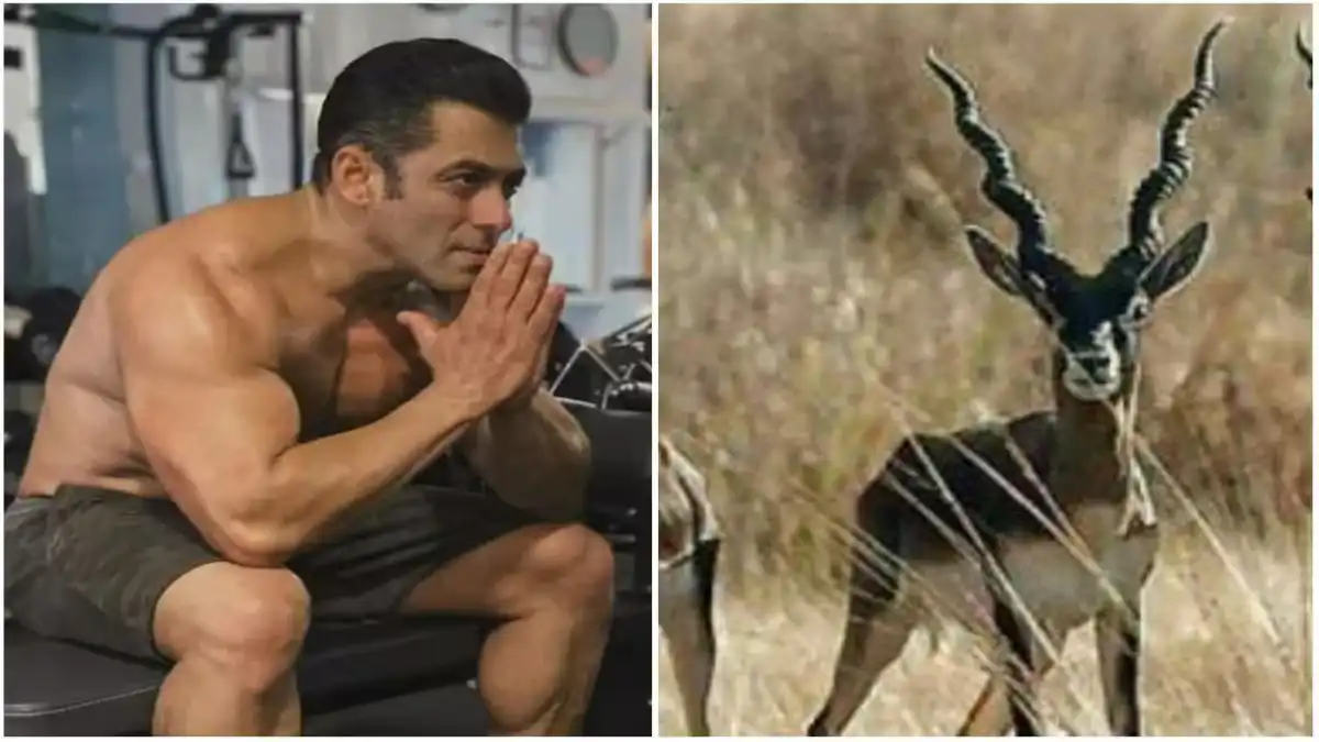 Salman Khan Blackbuck (1) (1)