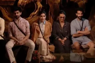 Top 6 Bigg Boss 18 Finalists