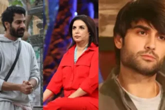 Karanveer Mehra, Farah Khan, Vivian Dsena